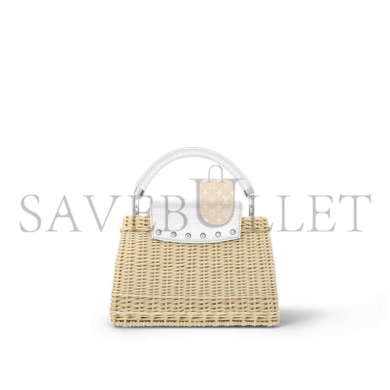 LOUIS VUITTON CAPUCINES BB N85520 (27*17*14cm) 